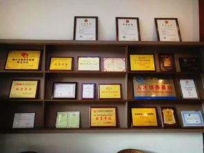 中越股份 企業一站式服務專家，引領計算機信息化時代