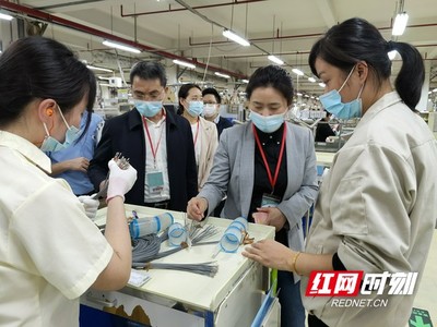 湘西高新區(qū)招商小分隊赴長三角和珠三角開展密集考察招商咨詢服務