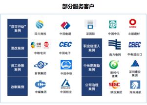 雙百行動(dòng)咨詢服務(wù)產(chǎn)品手冊(cè) 賦能?chē)?guó)企改革，驅(qū)動(dòng)價(jià)值提升